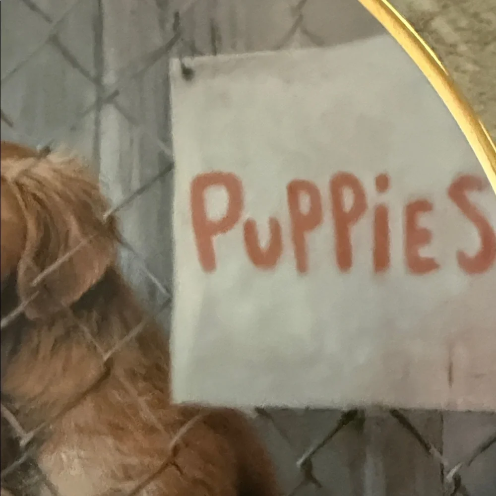 Franklin Mint ASPCA Adopt a Puppy Plate